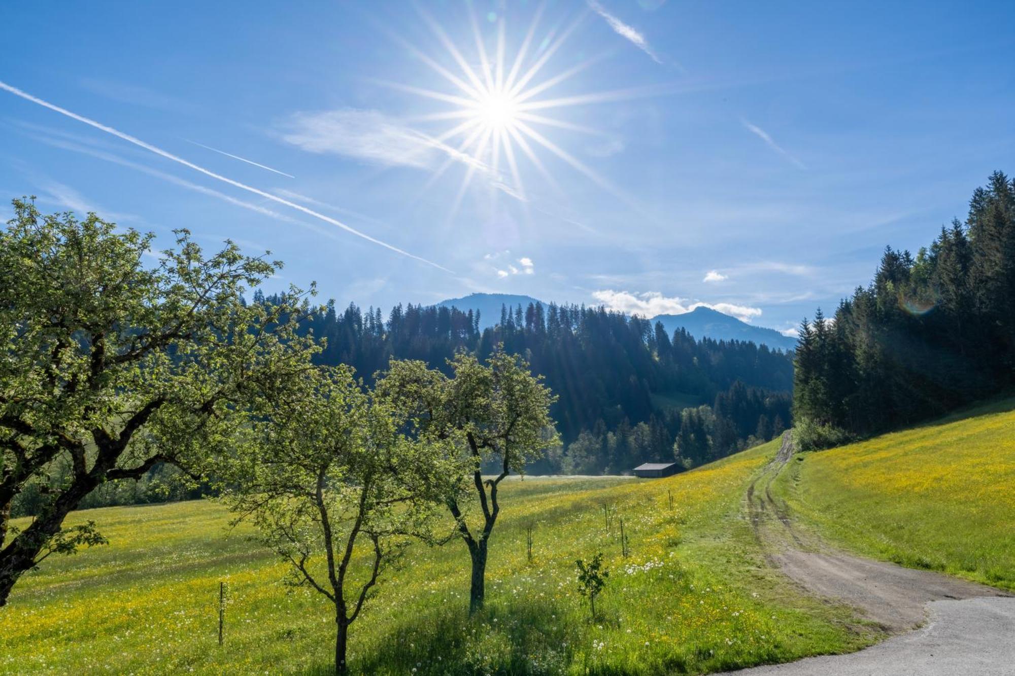 Getznerhof Villa Westendorf Ngoại thất bức ảnh